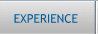 Experience